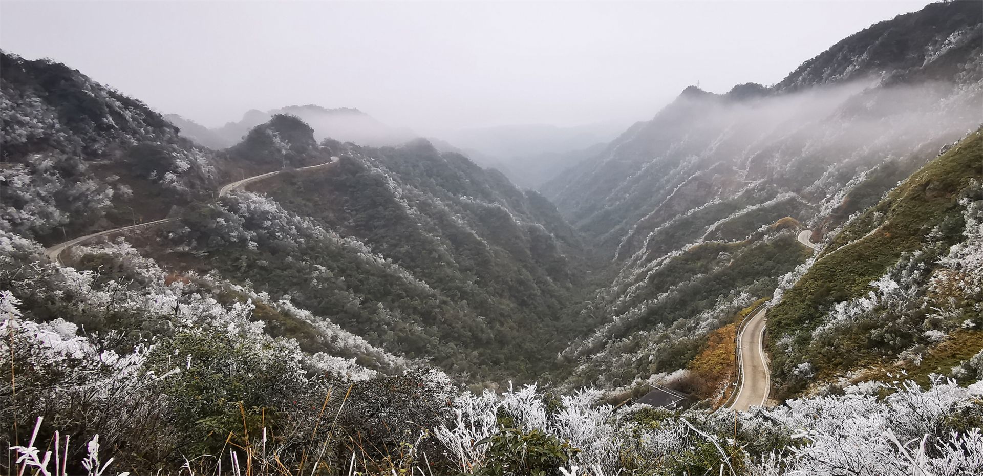 南寧大明山迎來2023年第一場霧凇奇觀