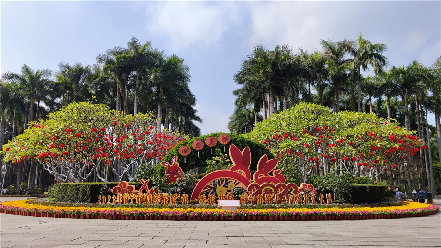 新春走基層丨大紅燈籠高高掛 南寧市金花茶公園年味十足