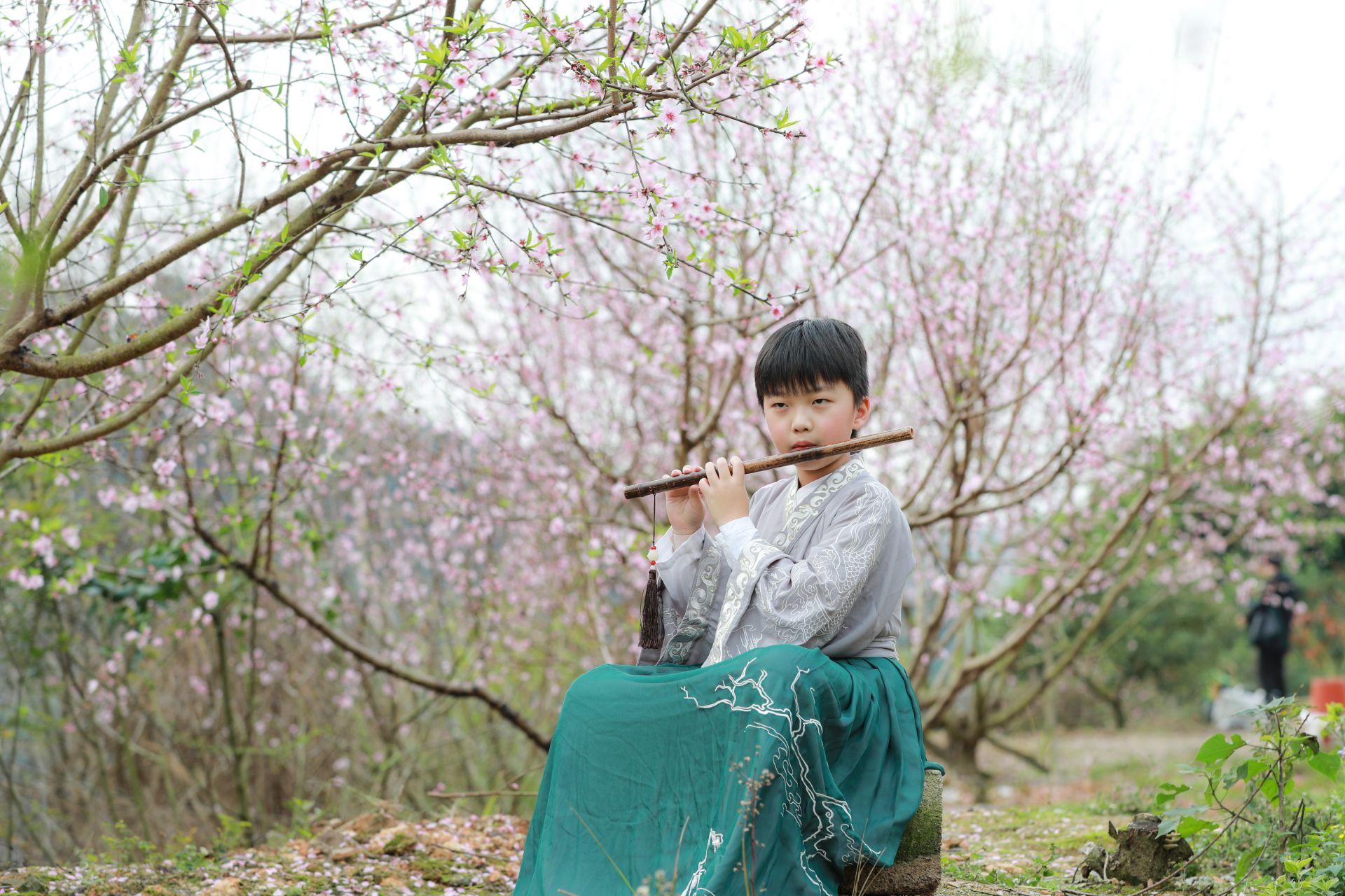 武鳴區(qū)：桃花枝頭春意鬧 踏春賞花醉游人