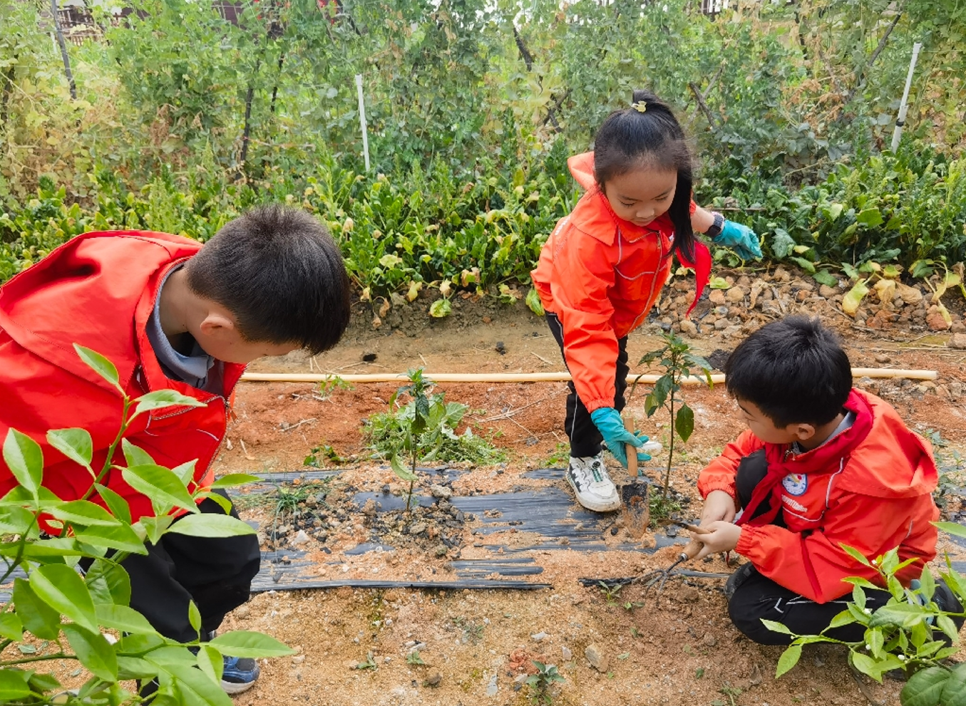 南寧市云景路小學開展農(nóng)房建筑主題研學活動