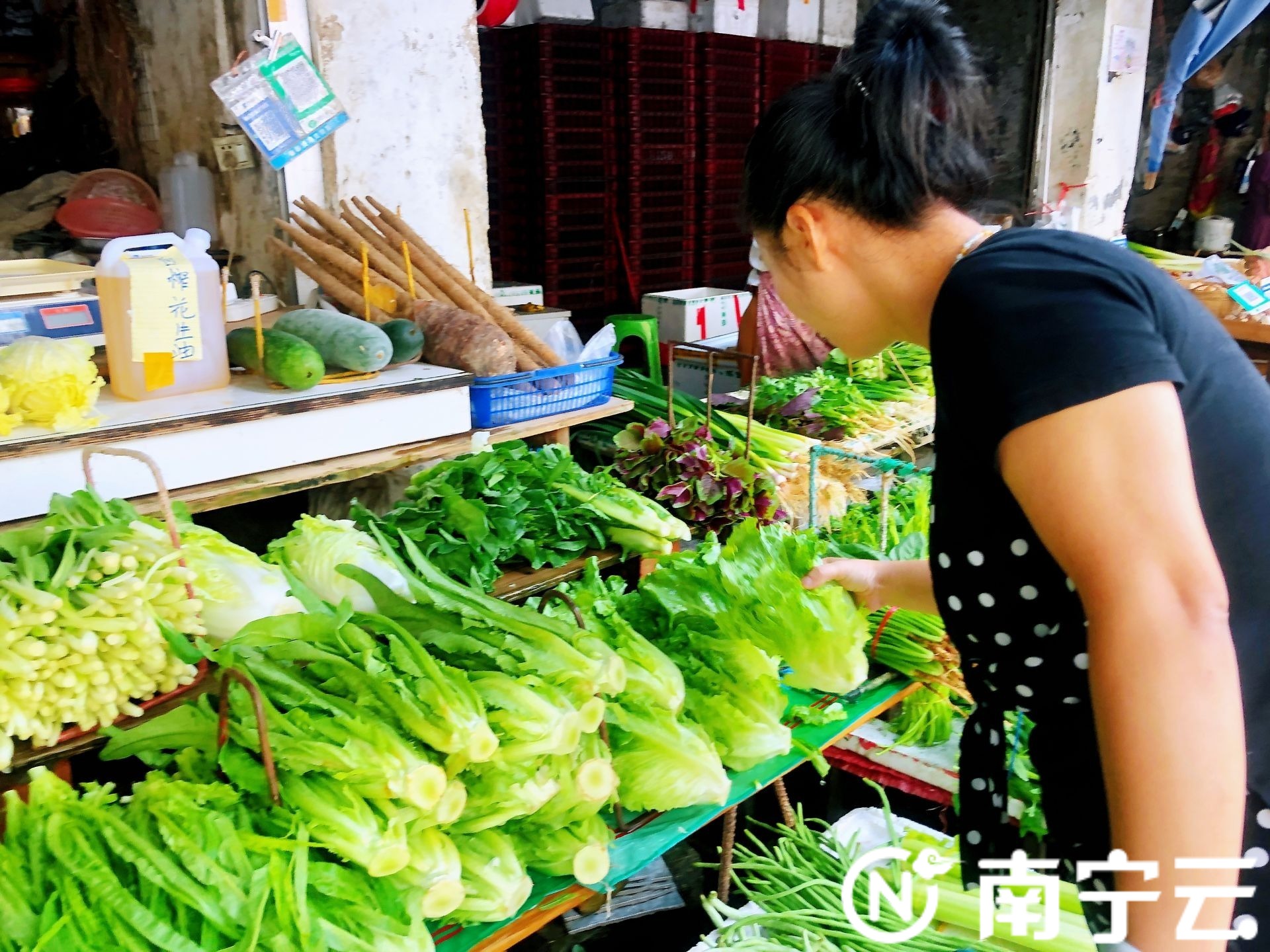 唱響中國經(jīng)濟“光明論”|中秋到節(jié)味濃，南寧農(nóng)貿(mào)市場迎來采買高峰