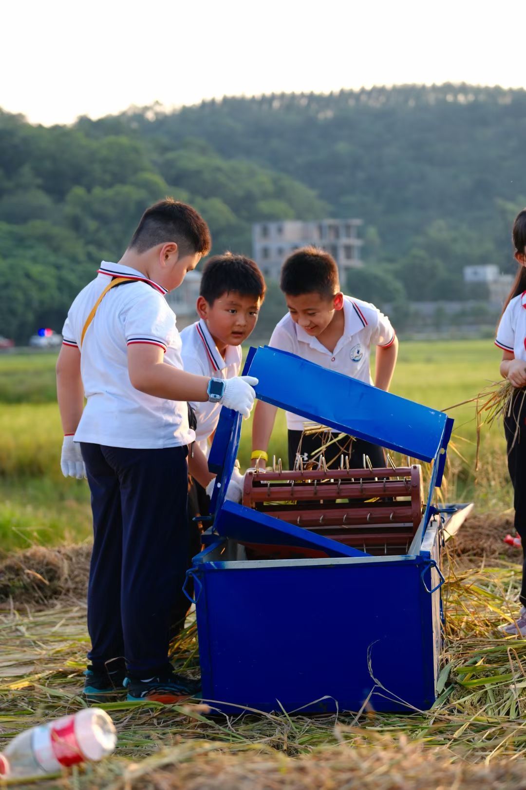 “豐”景如畫(huà)，樂(lè)享勞動(dòng)！南寧市越秀路小學(xué)開(kāi)展秋收實(shí)踐活動(dòng)