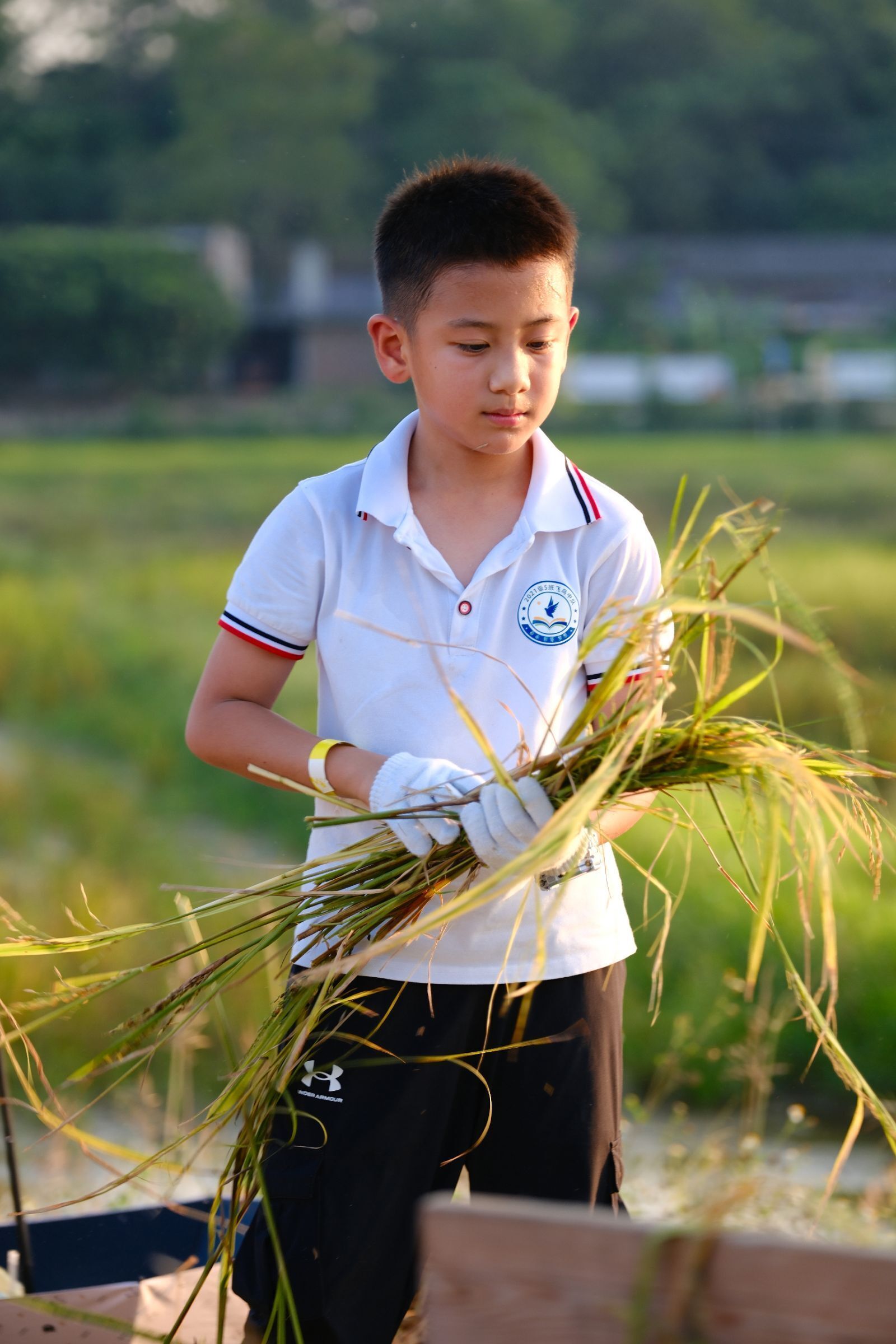 “豐”景如畫(huà)，樂(lè)享勞動(dòng)！南寧市越秀路小學(xué)開(kāi)展秋收實(shí)踐活動(dòng)