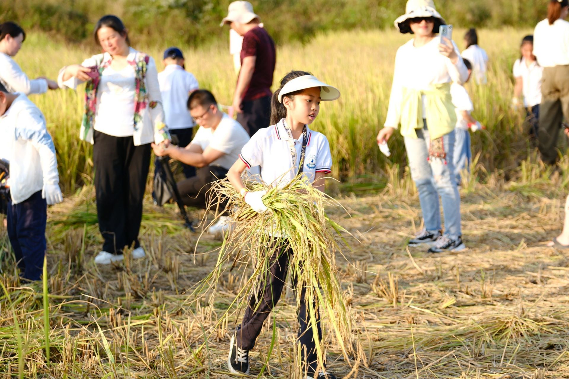 “豐”景如畫，樂享勞動(dòng)！南寧市越秀路小學(xué)開展秋收實(shí)踐活動(dòng)