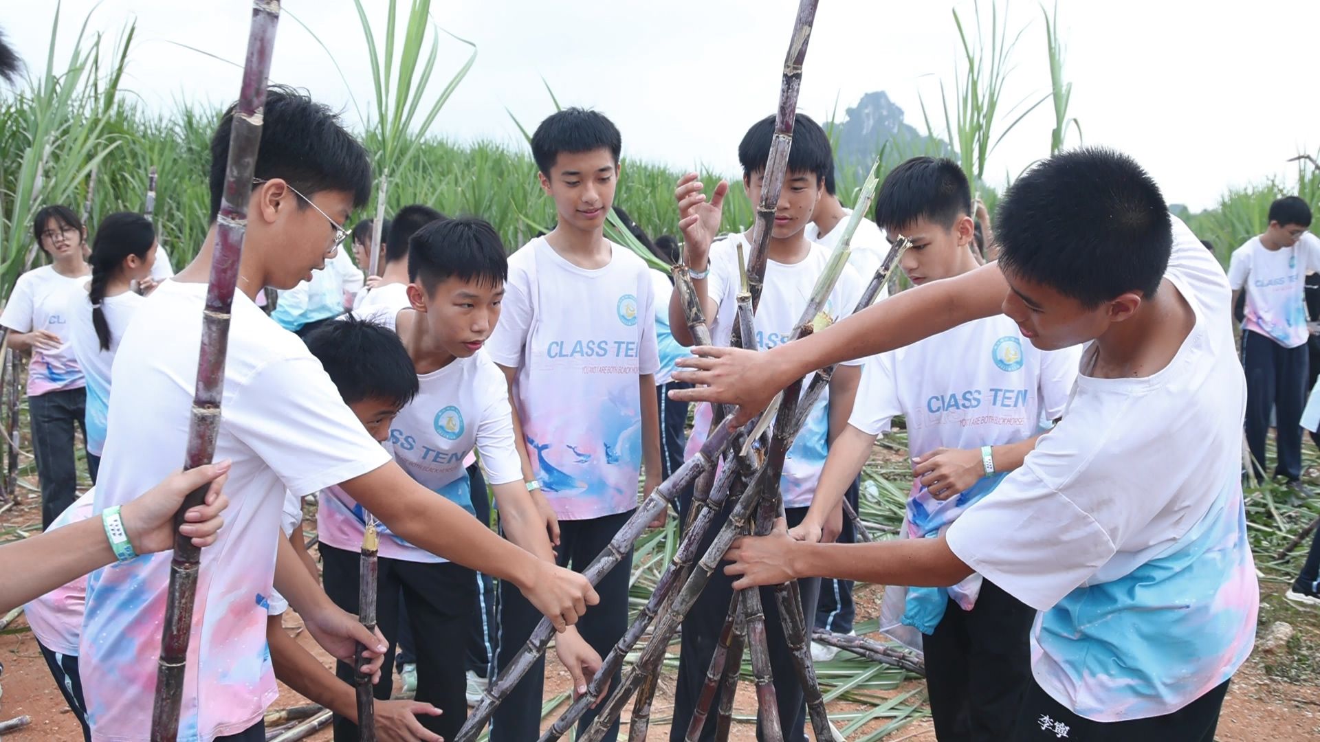 南寧市第十四中學(xué)建政校區(qū)開展2023年秋季學(xué)期八年級(jí)研學(xué)實(shí)踐活動(dòng)