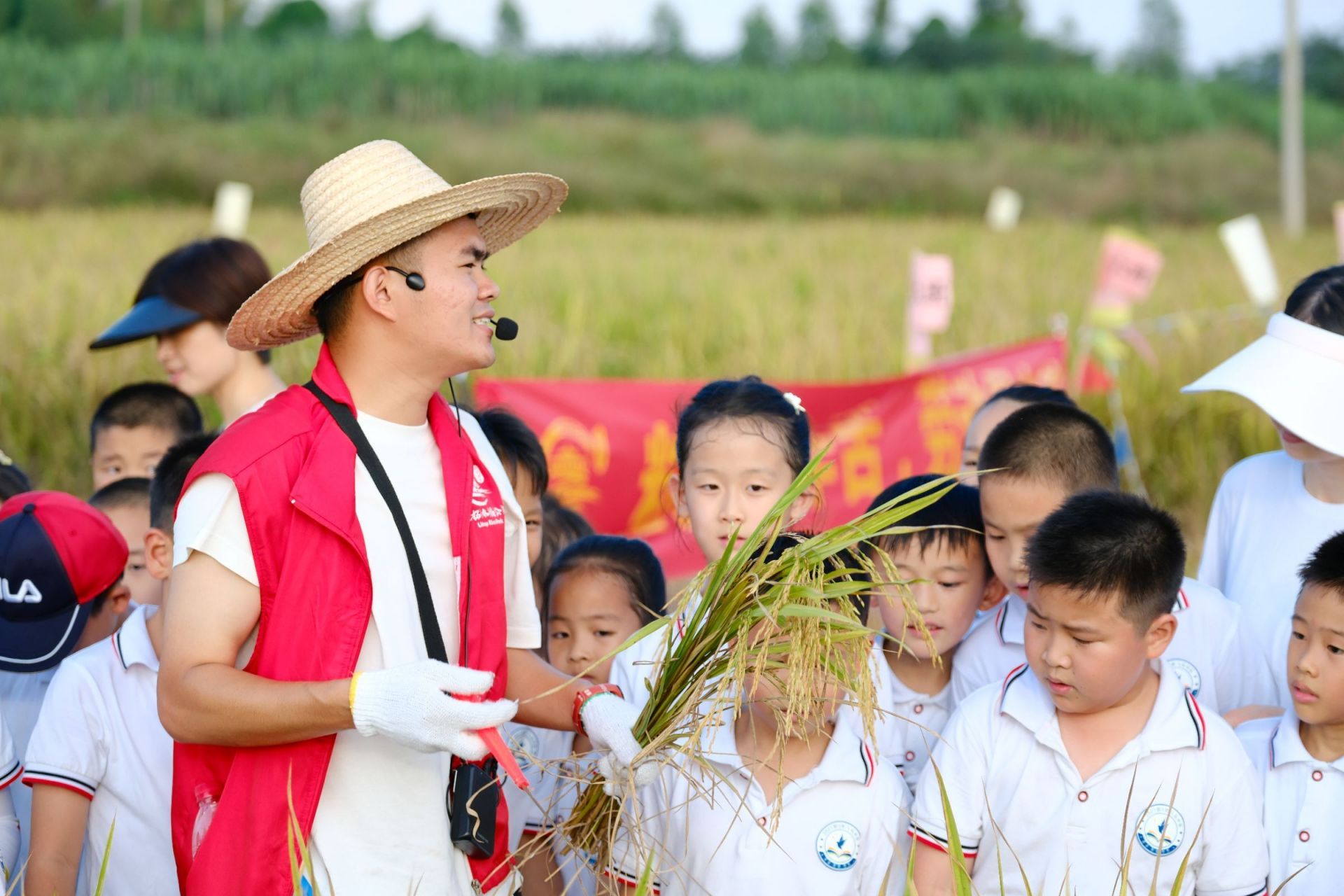 “豐”景如畫，樂享勞動(dòng)！南寧市越秀路小學(xué)開展秋收實(shí)踐活動(dòng)