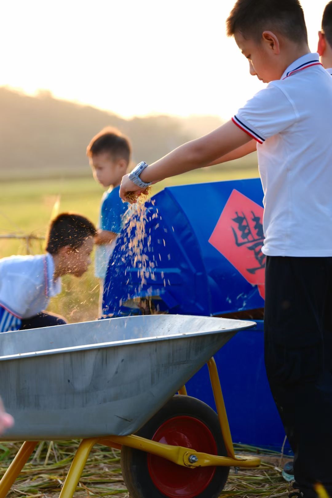 “豐”景如畫，樂享勞動(dòng)！南寧市越秀路小學(xué)開展秋收實(shí)踐活動(dòng)