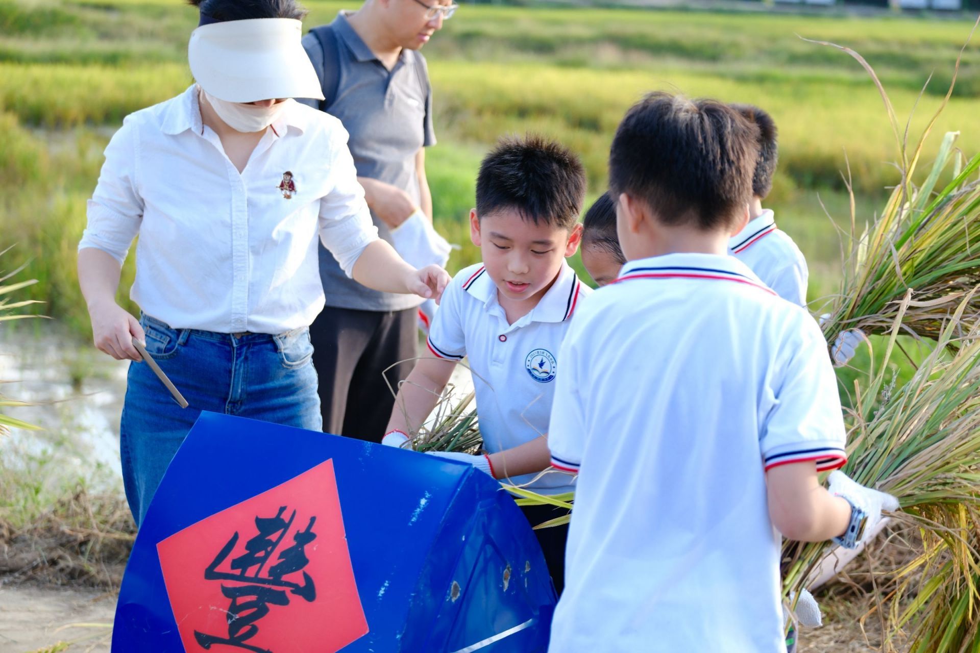 “豐”景如畫(huà)，樂(lè)享勞動(dòng)！南寧市越秀路小學(xué)開(kāi)展秋收實(shí)踐活動(dòng)