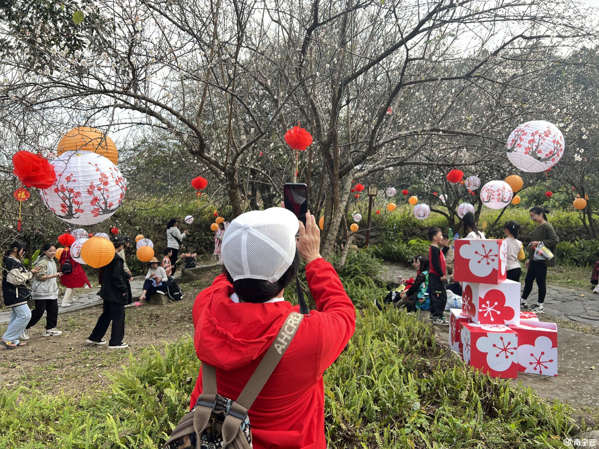 以梅為“媒”！賓陽縣2024年嶺梅文化旅游節(jié)開幕，吸引數(shù)萬游客到場賞玩