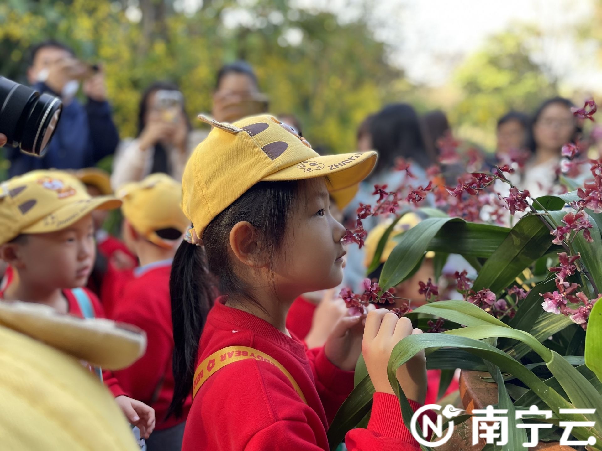 “小東北虎”到南寧 “小砂糖橘”送繡球