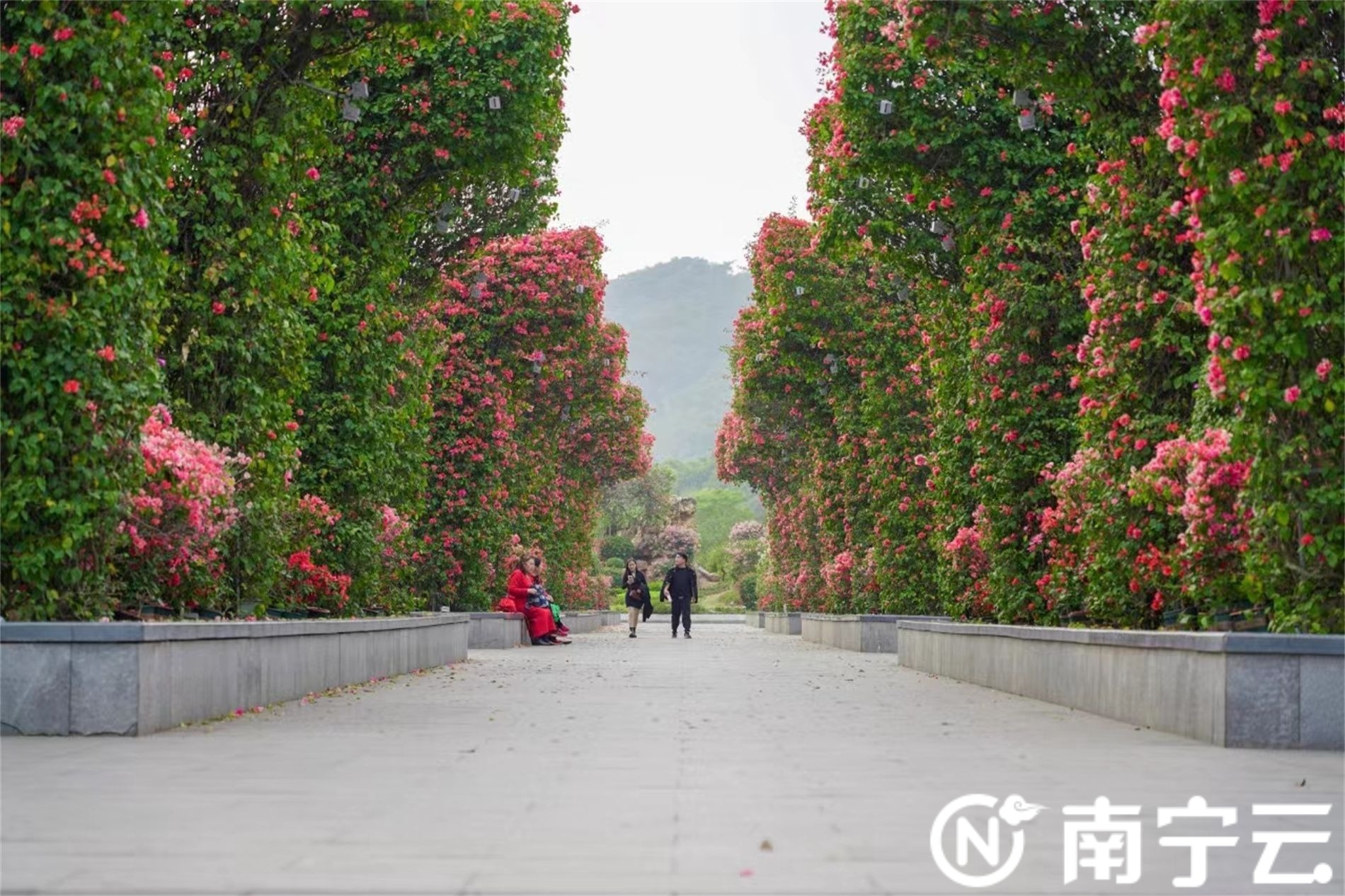 一眼心動(dòng)！南寧這片美拉德色彩 童話王國(guó)“紅”到出圈