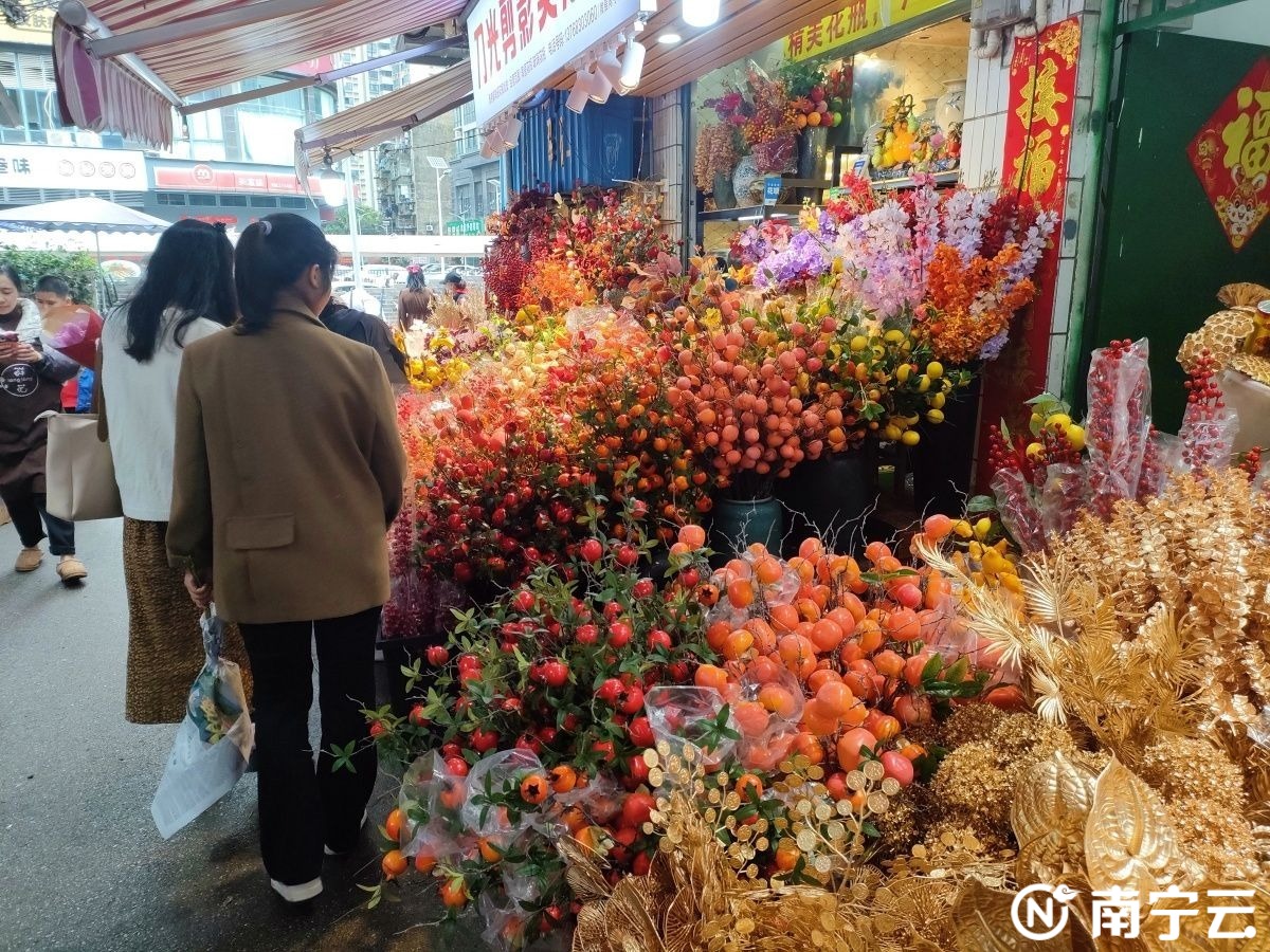 新春走基層 | 紅紅火火！春節(jié)臨近 南寧新春花市年味濃