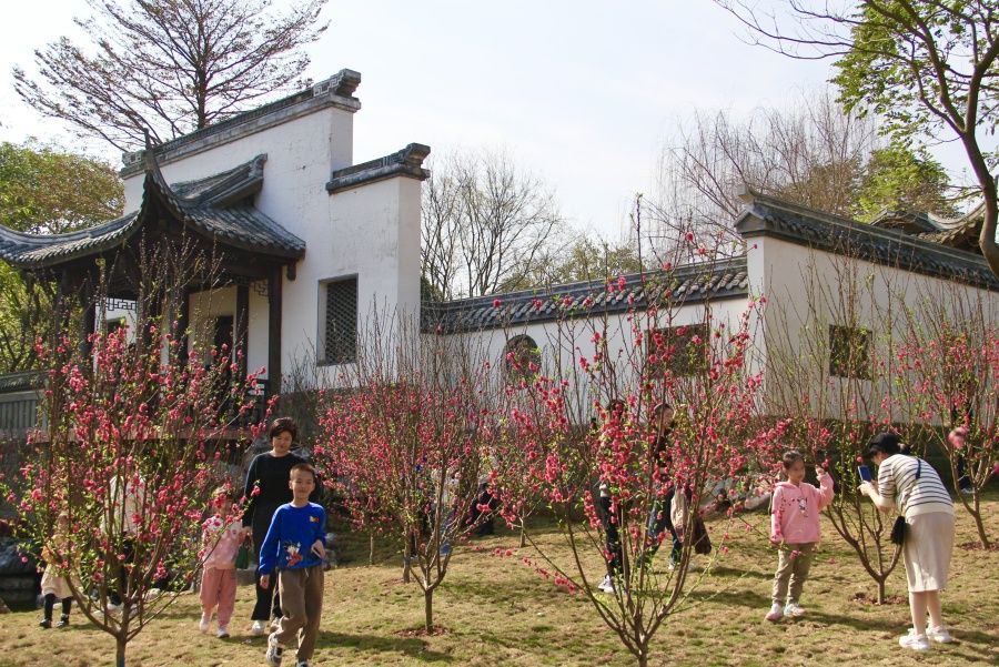 桃花國風(fēng)雅集、花神巡游……2024年南寧園博園第一屆山水桃花節(jié)來了！