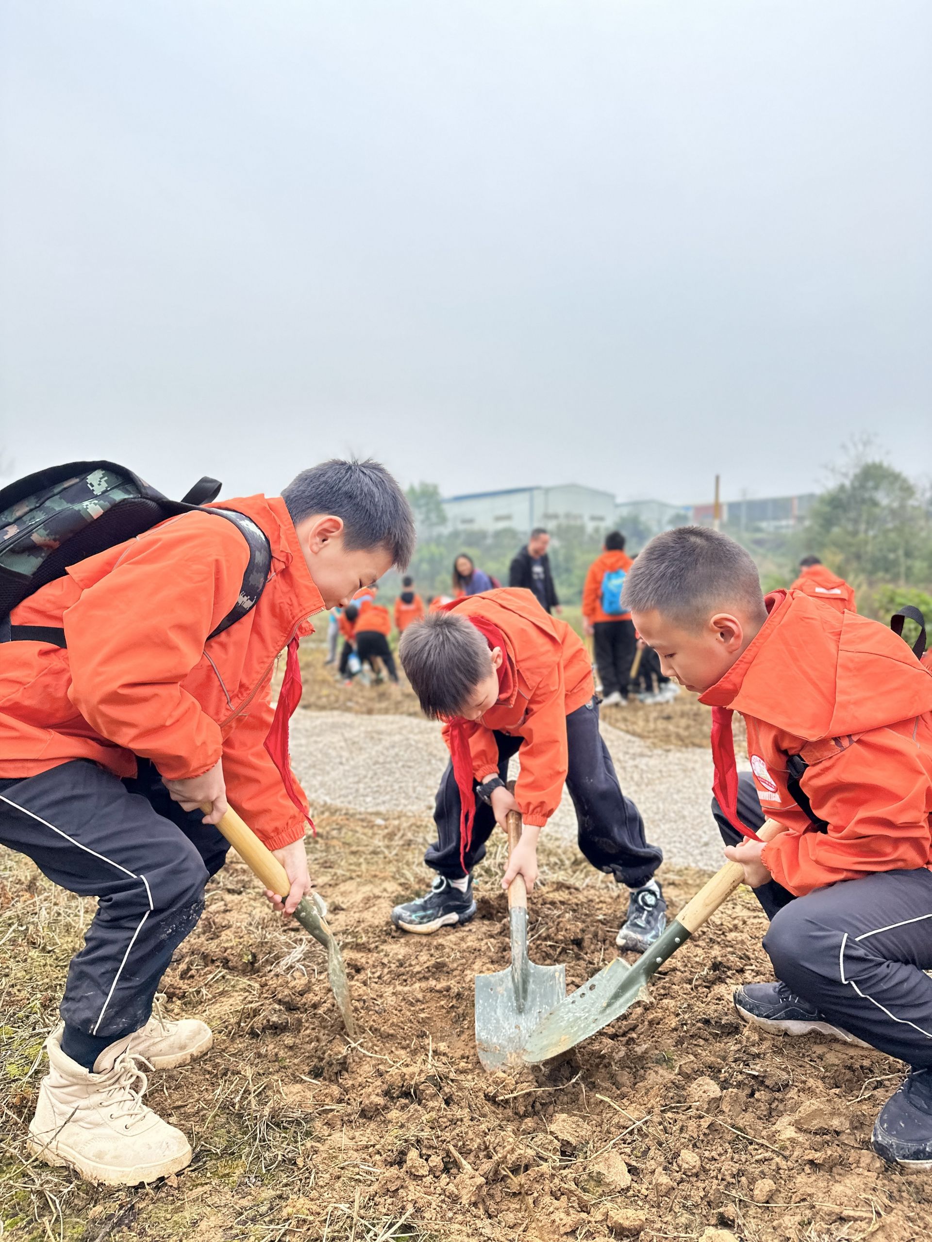 植此新綠染春色 共建青山迎春來！南寧市云景路小學(xué)恒心中隊(duì)植樹活動(dòng)