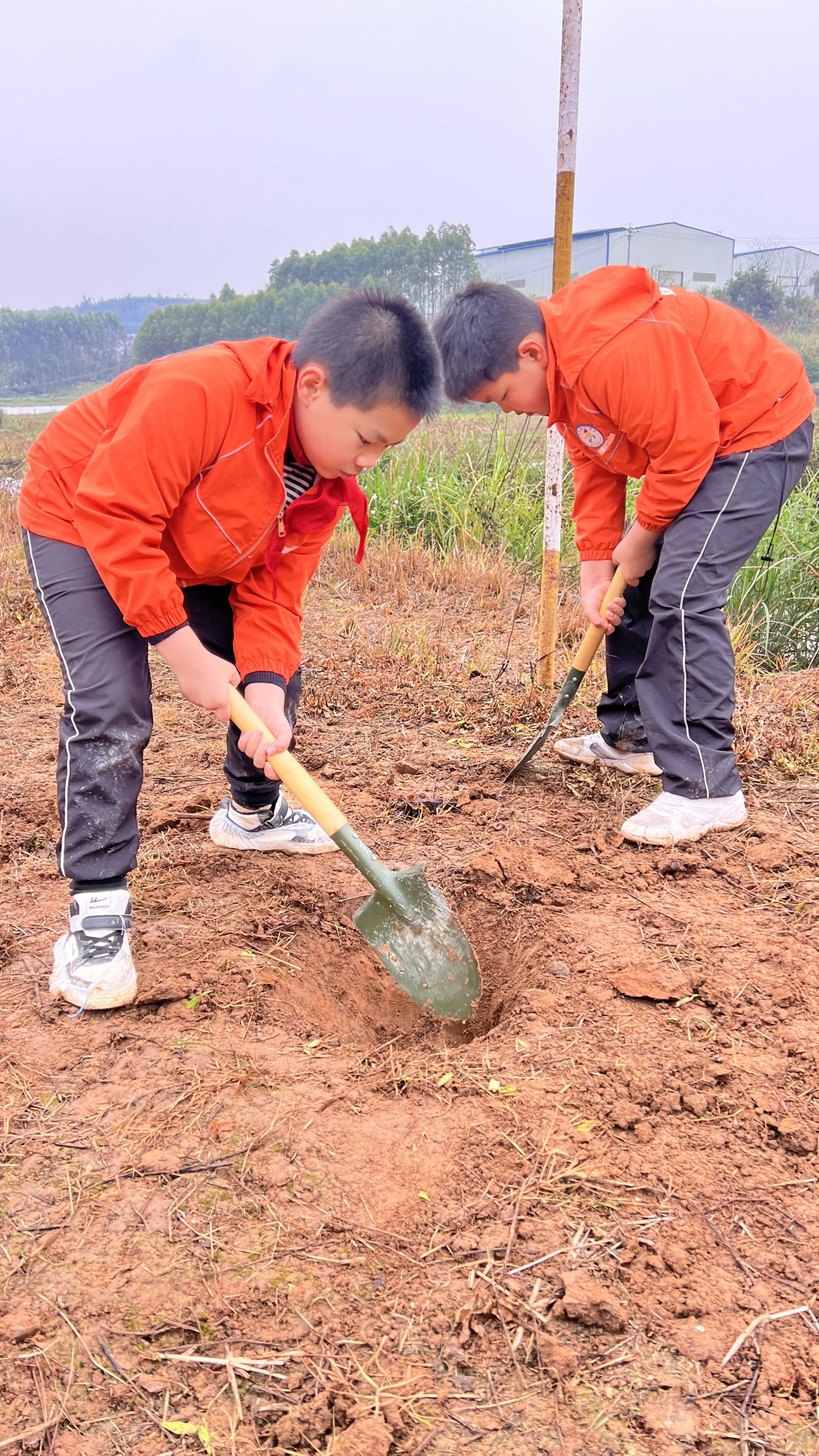 植此新綠染春色 共建青山迎春來！南寧市云景路小學(xué)恒心中隊(duì)植樹活動(dòng)