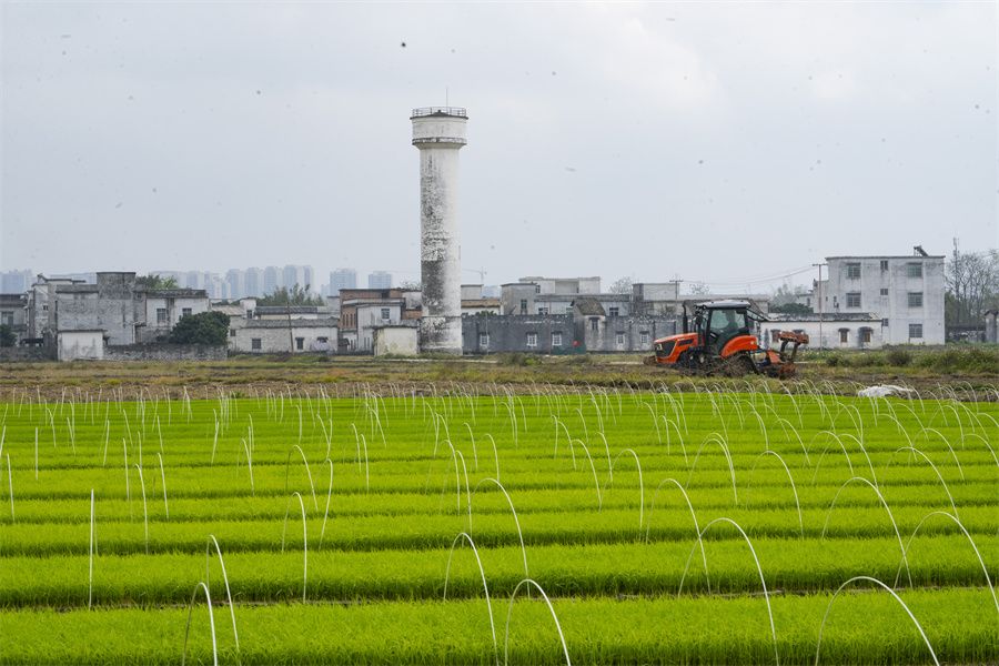 賓陽縣賓州鎮(zhèn)：不誤農(nóng)時不負(fù)春  農(nóng)機(jī)作業(yè)奏響春耕主旋律