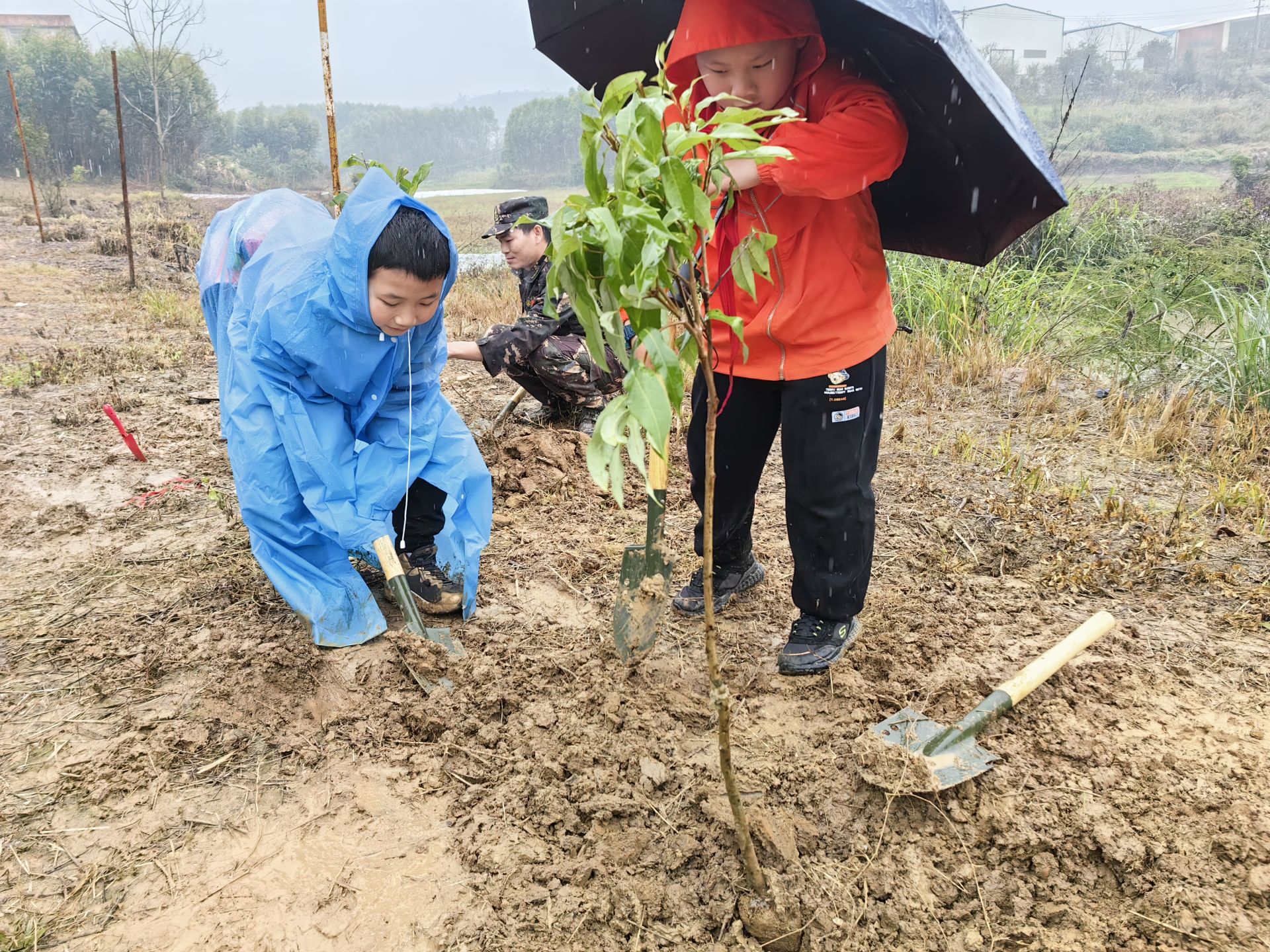 植此新綠染春色 共建青山迎春來！南寧市云景路小學恒心中隊植樹活動