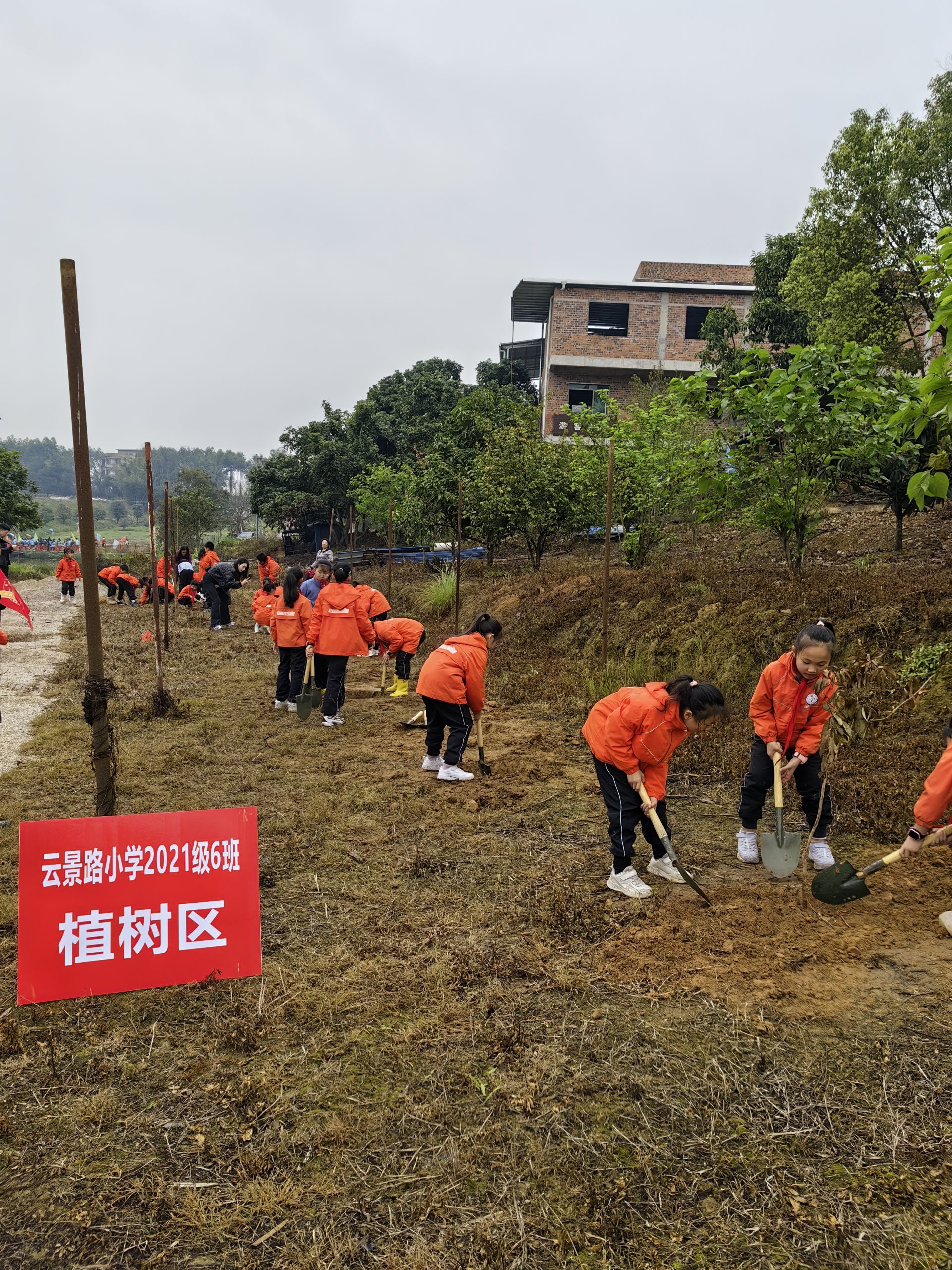 植此新綠染春色 共建青山迎春來！南寧市云景路小學(xué)恒心中隊植樹活動