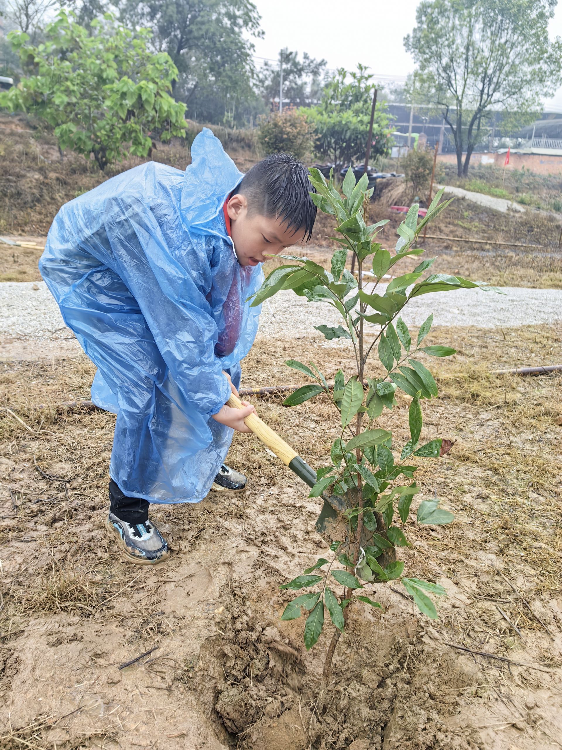 植此新綠染春色 共建青山迎春來！南寧市云景路小學恒心中隊植樹活動