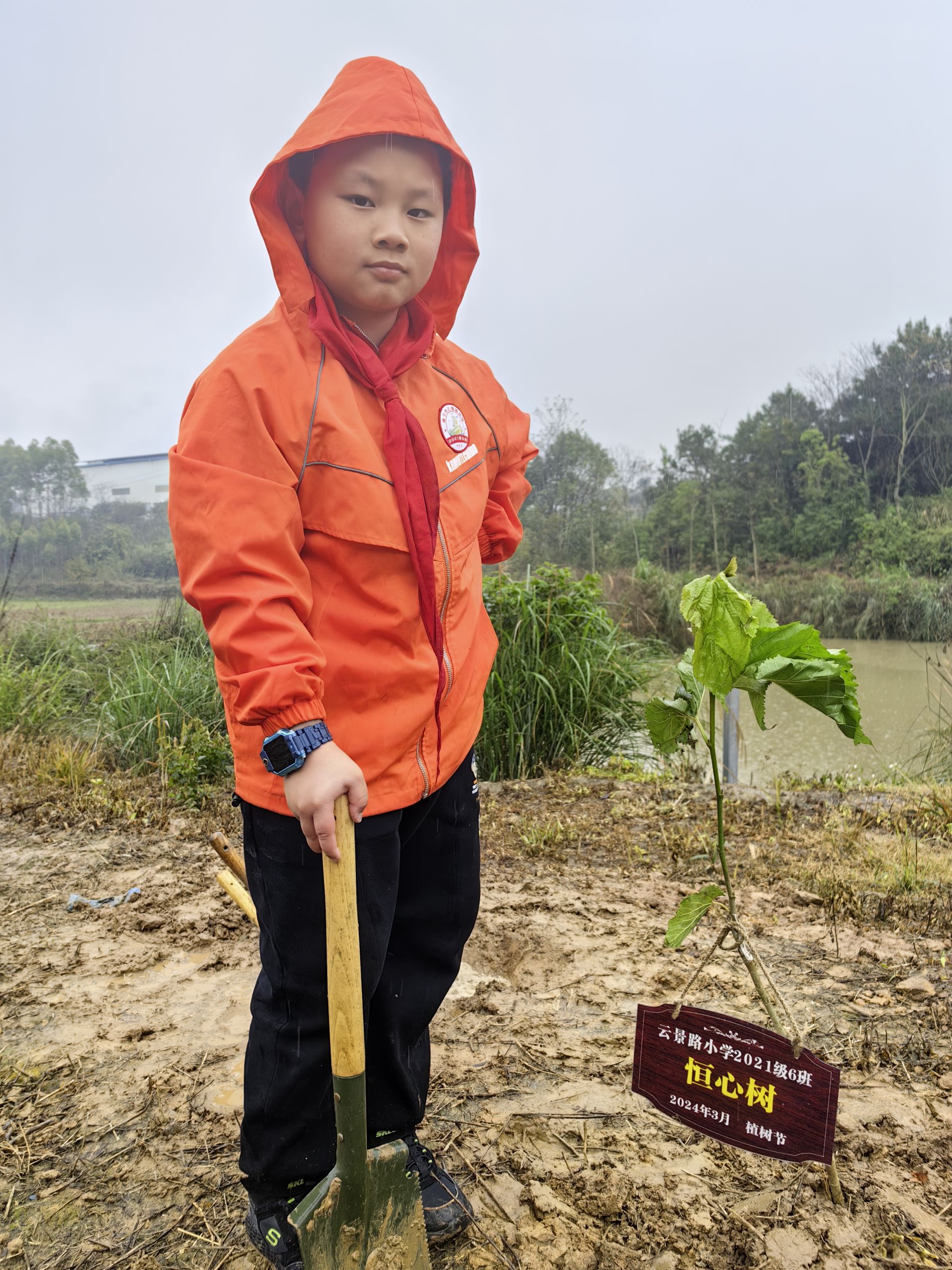 植此新綠染春色 共建青山迎春來！南寧市云景路小學(xué)恒心中隊植樹活動