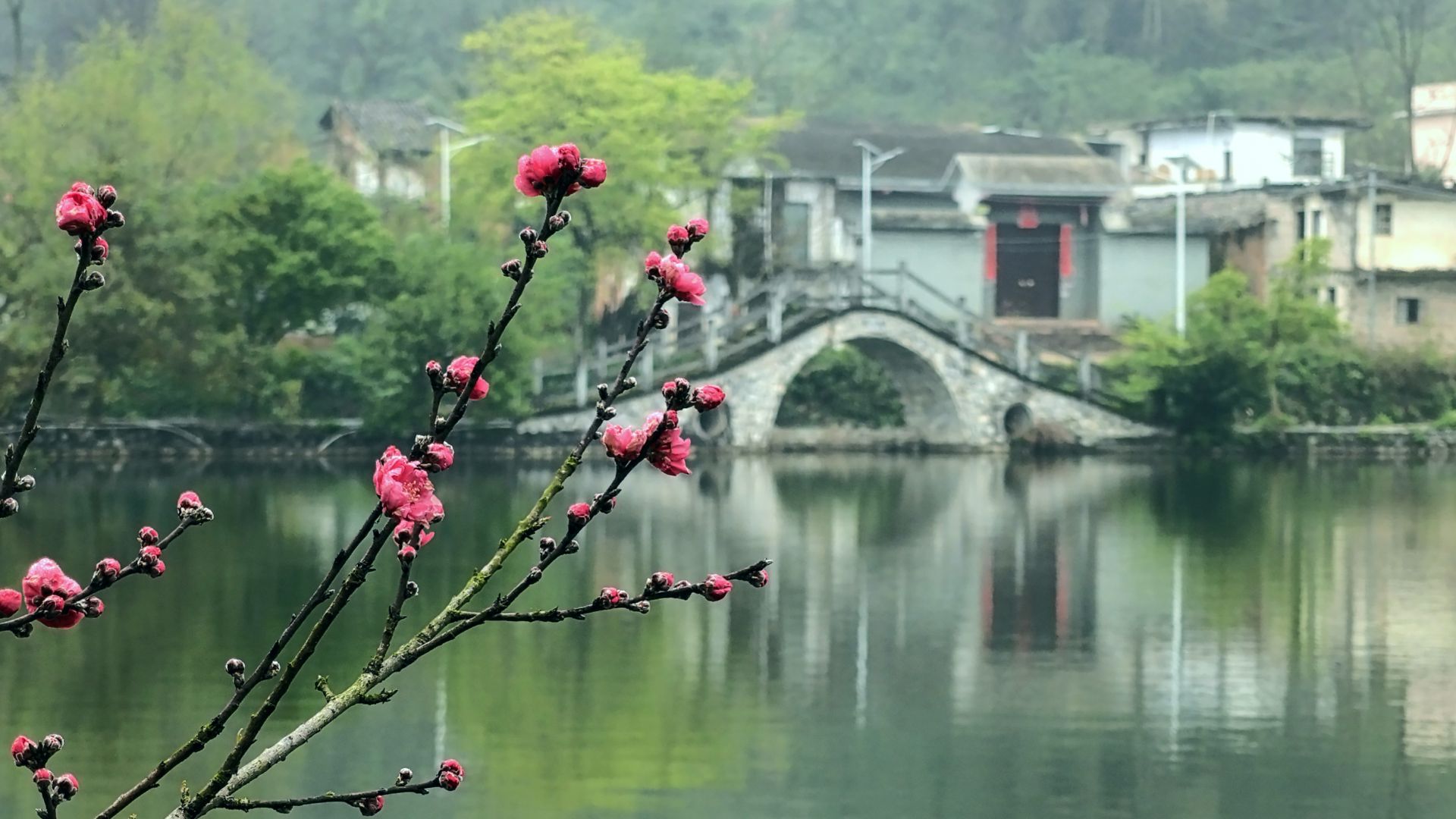 賓陽縣武嶺村：煙雨鄉(xiāng)村別樣景