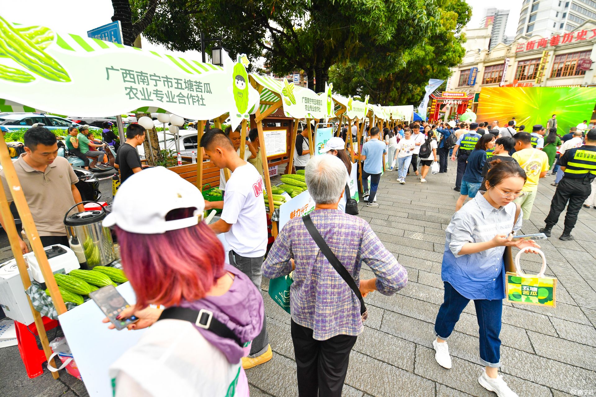 這才是“吃瓜”的正確打開(kāi)方式！2024年興寧區(qū)五塘苦瓜節(jié)開(kāi)幕