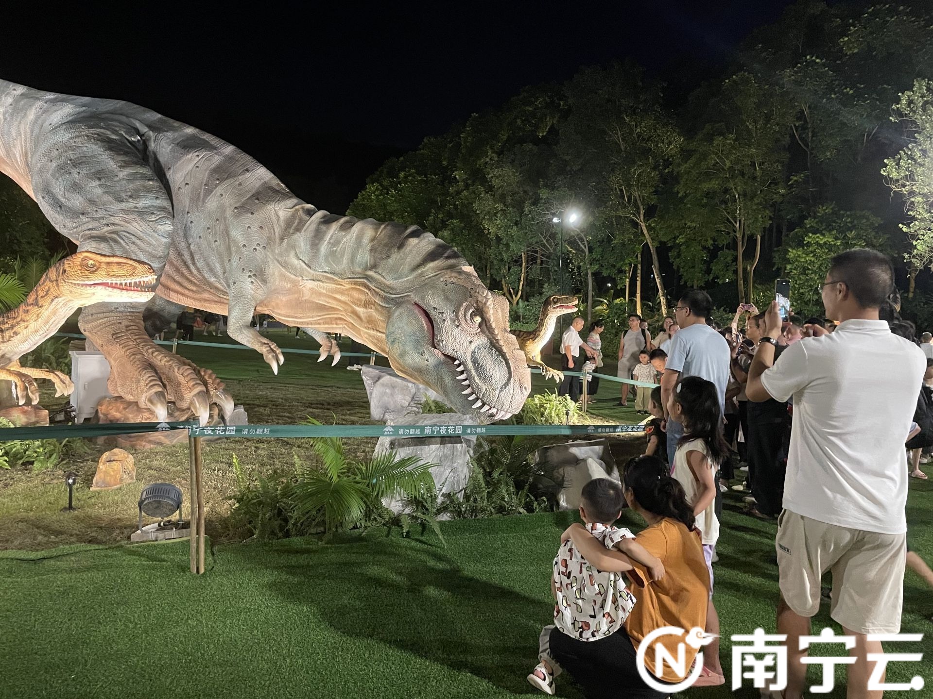 “南寧夜花園”開(kāi)門迎客  沉浸式夜游受歡迎