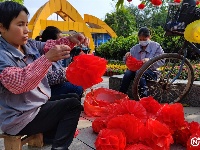 新春走基層丨大紅燈籠高高掛 南寧市金花茶公園年味十足