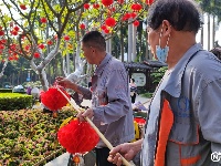 新春走基層丨大紅燈籠高高掛 南寧市金花茶公園年味十足