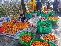 新春走基層|南寧：水果市場重現(xiàn)車水馬龍景象