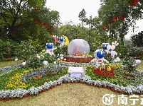 南寧金花茶公園萬株茶花綻放 為春日增添