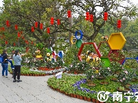 南寧金花茶公園萬株茶花綻放 為春日增添