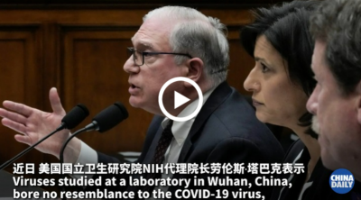 美國專家否認(rèn)新冠病毒與中國有關(guān) 