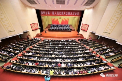 兩會(huì)向世界充分展示中國(guó)