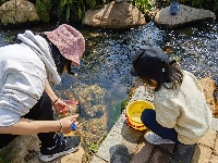 昔日臭水溝華麗變身城市休閑公園