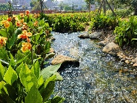 昔日臭水溝華麗變身城市休閑公園