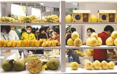 中國東盟攜手提升區(qū)域合作（專家解讀）