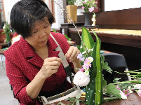 南寧市人民公園舉行多樣“三八”婦女節(jié)活動