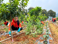  南寧市云景路小學開展農房建筑主題研學活動