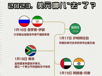 玉淵譚天丨“去美元化”去向何方？