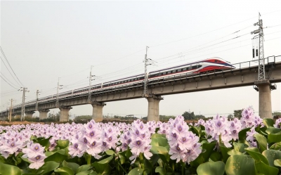 ?一路飛架跨山河——寫在中老鐵路國(guó)際旅客列車開行首日