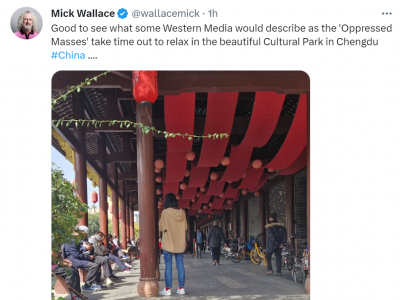 來(lái)華交流歐洲議員發(fā)圖諷西媒：所謂“被壓迫群眾”正在公園放松