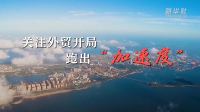 外貿“新三樣”折射經濟高質量發(fā)展新趨勢