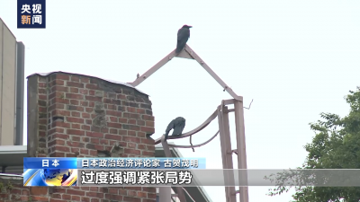日本專家：七國(guó)集團(tuán)挑起沖突 加劇世界動(dòng)蕩