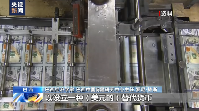 總臺(tái)專訪丨巴西經(jīng)濟(jì)學(xué)家：發(fā)展中國家將成為美債危機(jī)的最終受害者