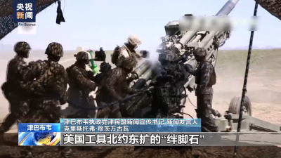 津巴布韋執(zhí)政黨發(fā)言人：美國(guó)是“戰(zhàn)爭(zhēng)販子” 美元信譽(yù)正在崩塌