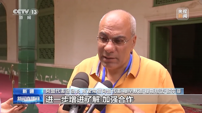 阿盟代表團參訪新疆 贊賞新疆民族文化保護與經(jīng)濟社會發(fā)展
