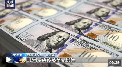 津巴布韋經(jīng)濟(jì)分析師：非洲不應(yīng)該被美元綁架