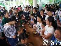 南寧動物園舉辦大熊貓生日會 “績美”“績蘭”7周歲了！