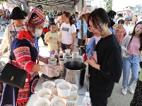 聽山歌、逛農(nóng)展、品美食、享農(nóng)趣！武鳴豐收節(jié)太歡樂了